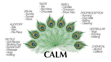 Calming Sensory Spider | Animated