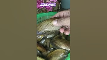 Thumbnail of MASAK KERANG KIJING gaes... #adayinmylife #resepmasakan #masakgampang