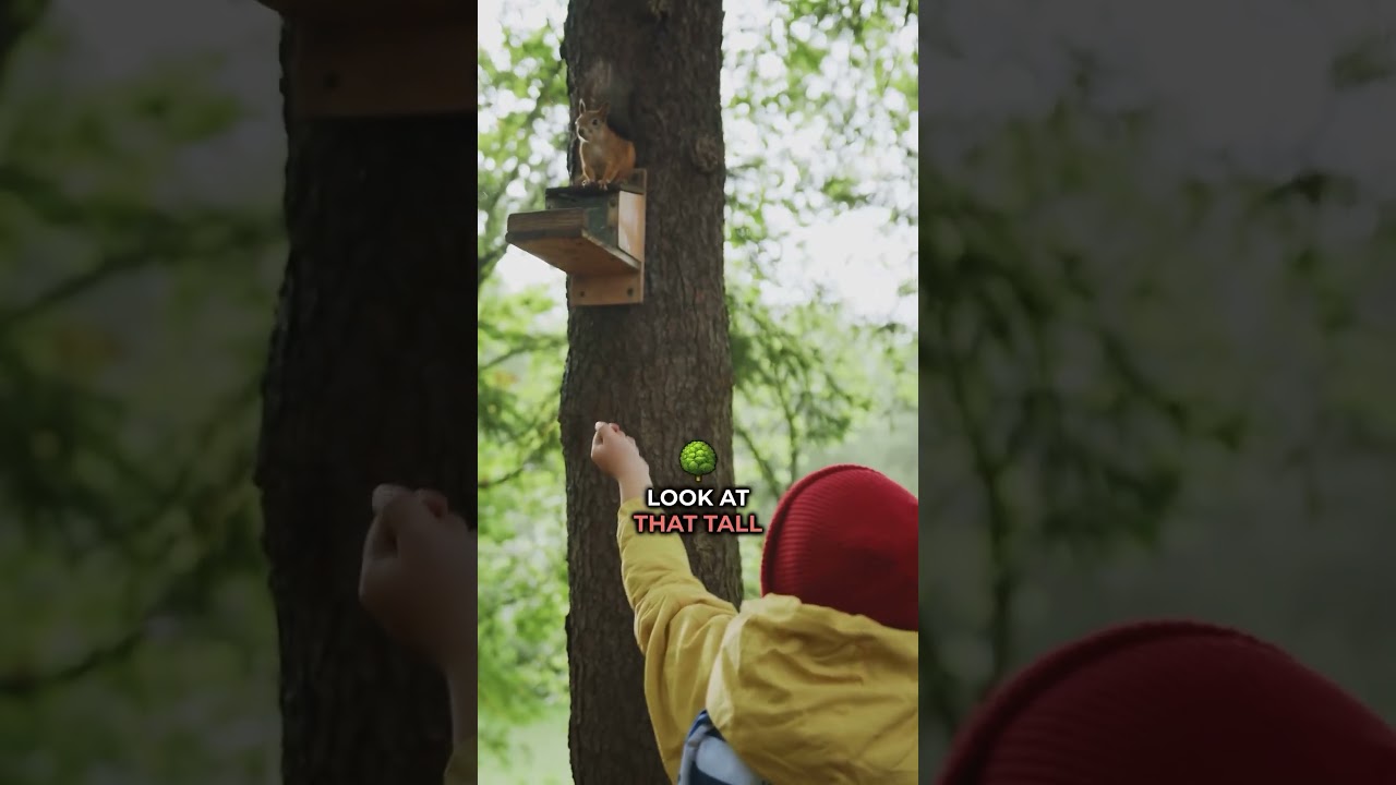 Boost Your Child's Vocabulary While Enjoying the Nature 