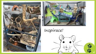 Inspirace pro výbavu klece pro potkany / klece z Pinterestu