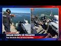 HALLAN CUERPO DE PESCADOR DESAPARECIDO TRAS NAUFRAGIO EN VICHUQUÉN
