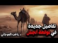 تفاصيل جديدة في موقعة الجمل قصة خلافة علي بن أبي طالب 11 