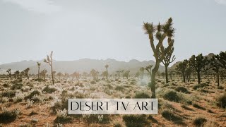 Desert Landscape TV Art | 2hr 4K HD Neutral Nature TV Screensaver | Aesthetic Cactus TV Art screenshot 4