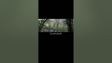 وَأَوْحَيْنَا إِلَىٰ أُمِّ مُوسَىٰ أَنْ أَرْضِعِيهِ||تلاوة خاشعة بصوت الشيخ ياسر الدوسري 💗🌿