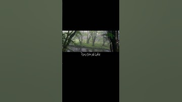 وَأَوْحَيْنَا إِلَىٰ أُمِّ مُوسَىٰ أَنْ أَرْضِعِيهِ||تلاوة خاشعة بصوت الشيخ ياسر الدوسري 💗🌿