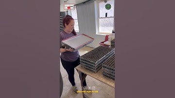 Simple & Amazing Seed Tray Filling & Seed Sowing Technique