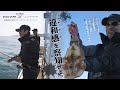 【ティップランエギング】その自重、50g台 という異端【EGTR X ULTIMATE】