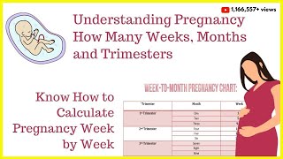 How to Calculate Your Pregnancy by Weeks, Months & Trimesters|Weeks into Months|Due Date Calculator screenshot 3