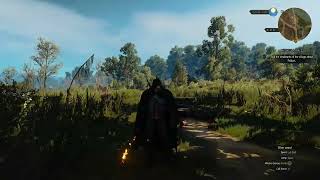 Witcher 3 - Cloak   Sword Effects Mod Testing