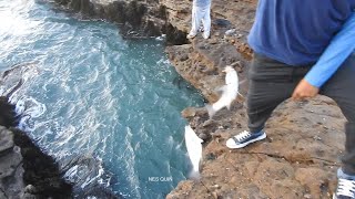 PESCA GENIAL en la madrugada, dos hombres capturan peces de a dos y llenan sus canastas