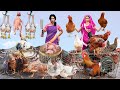 सास बाबू चिकन वाली Saas Vs Bahu Chicken Wali Comedy Video हिंदी कहानिया Hindi Kahaniya Comedy Video