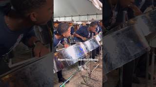 Pan for the People - Sangre Grande Steel Orchestra’s playful piece