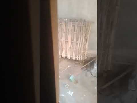 mesum di belakang rumah langsung kena grebek #viral #viralvideo #trandingnow
