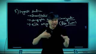 Details Game Theory #28 History Review - Part 1 Prof. Jiang Guide