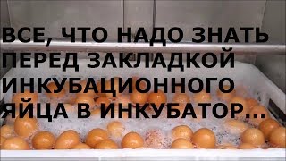 мыть или не мыть яйца часть 2,закладка от А до Я,полезные советы