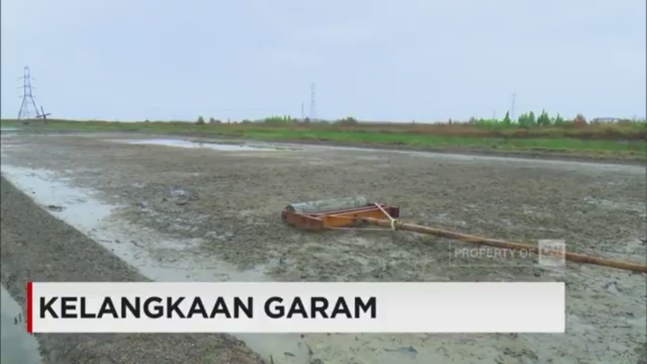 Dampak Kelangkaan Garam - YouTube