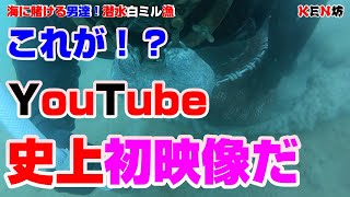 白ミル貝漁YouTube史上初映像【潜水漁師密着取材水中映像】後編