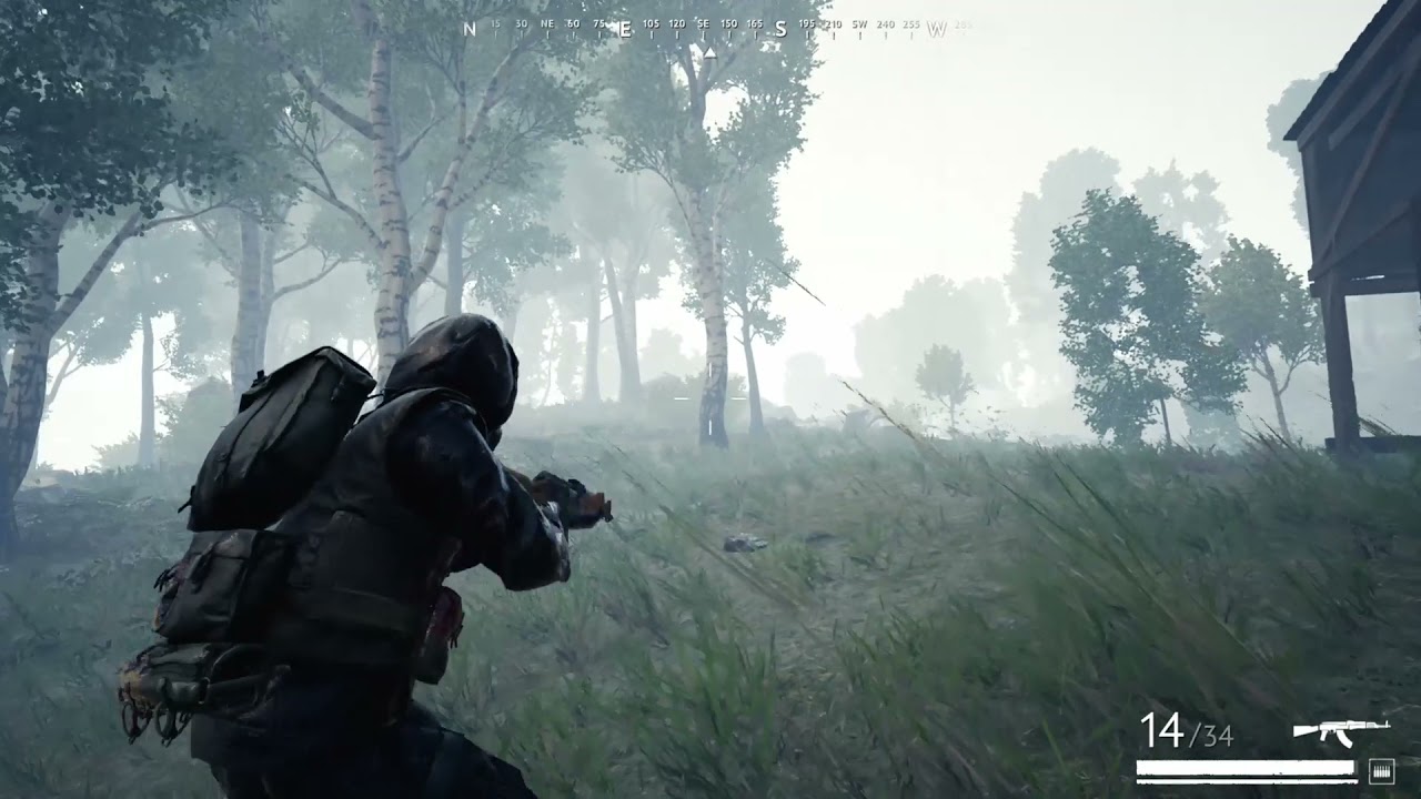 Vigor kills compilation