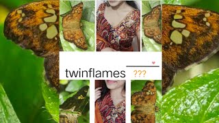When nature shows my ?saree's twinflame?/beutiful ?◼️ചെമ്പരപ്പൻ -Pseudocoladenia dan.