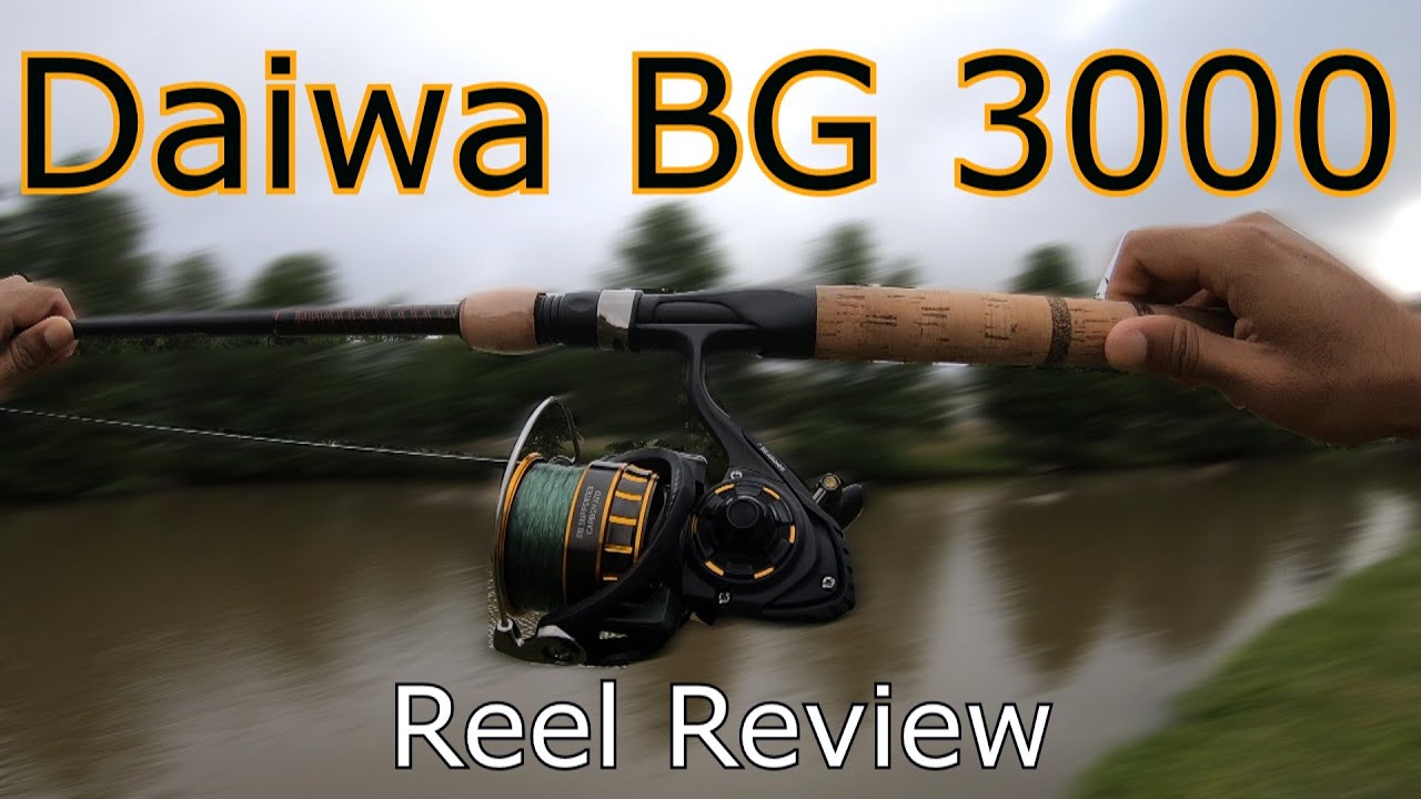 Daiwa BG 3000 Reel Review 