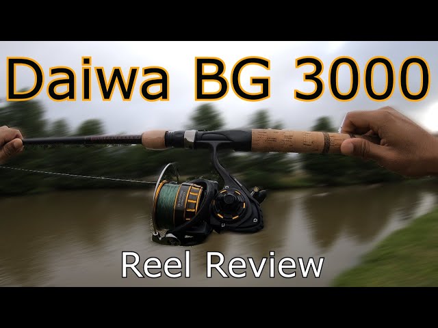 Daiwa BG3000 BG Saltwater Spinning Reel