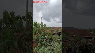 BONITO PARA CHOVER AQUI NO SÍTIO MANGAS MUNICÍPIO DE TAQUARITINGA DO NORTE PE