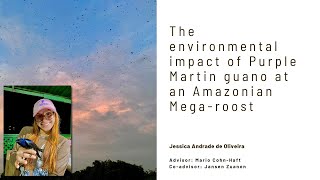Seasonal input of guano &amp; effects on the ecosystem in a “megaroost” of Purple Martins in the Amazon
