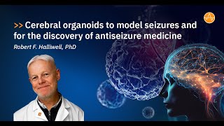 Cerebral Organoids To Model Seizures Coffee Break Webinar Dr. Robert Halliwell