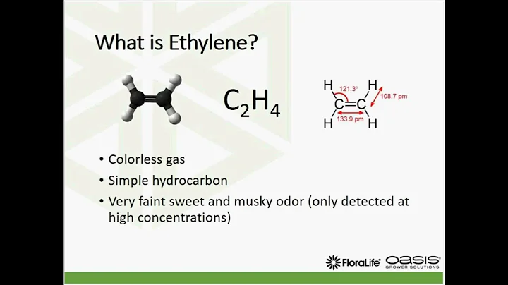 Managing Ethylene Risk in the Supply Chain