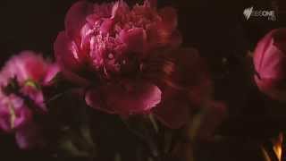 SBS World News 27 May 2014 - MS Australia's SeeingMS Visual Art Project