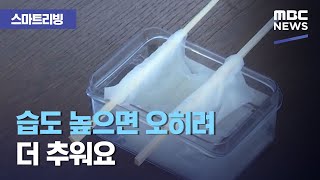 [스마트 리빙] 습도 높으면 오히려 더 추워요 (2020.11.13/뉴스투데이/MBC)