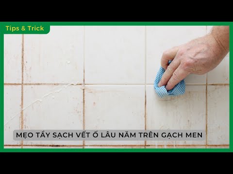 Video: Cách làm sạch các đường nối giữa gạch trong nhà tắm: phương pháp chuyên nghiệp, phương pháp dân gian và lời khuyên của chuyên gia