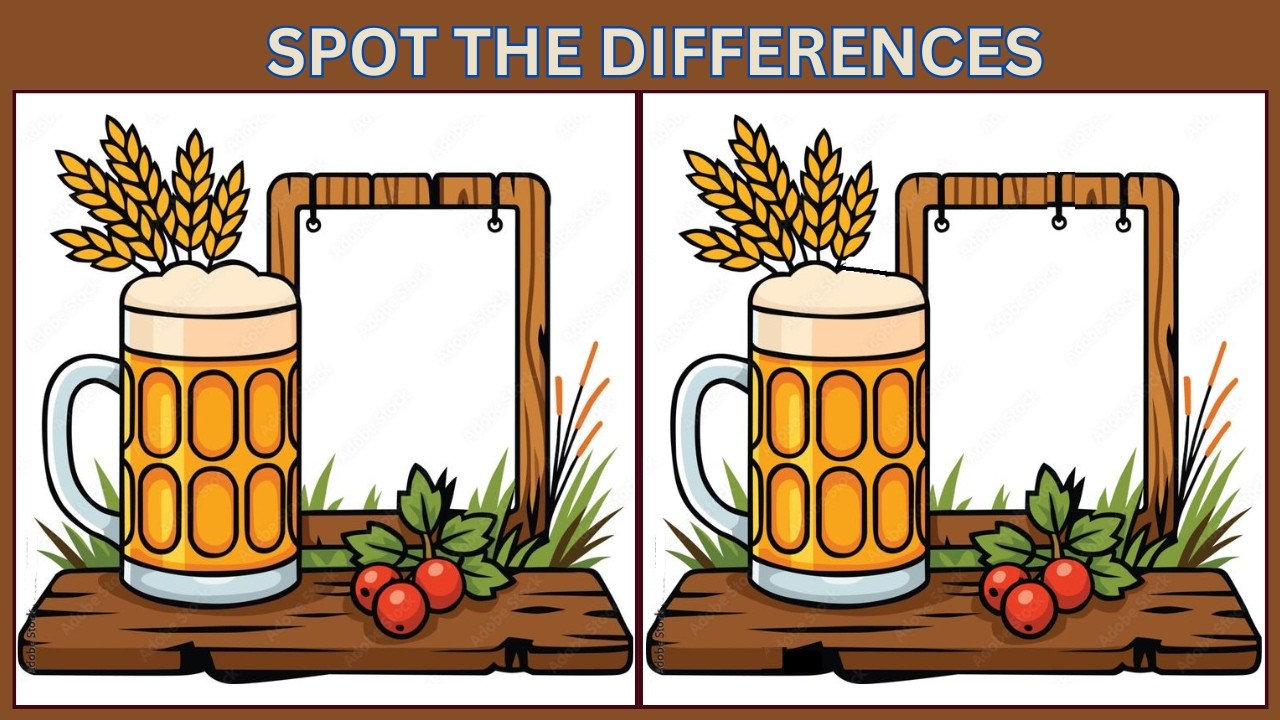 Найдите 3 отличия | 10 головоломок для проверки вашего IQ