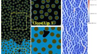 Primary Imbibition of Oil-Saturated Porous Media | Smoothed-Particle Hydrodynamics (SPH)