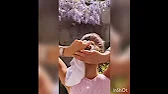 Модные Шапки, Шляпы