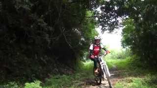夏18度C羅山林道南線秘境-2012-0708