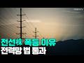 [이데일리TV NEWS] 전선株 폭등 이유... 전력망 법 통과 #전선주 #전력망 #상임위 | 애프터마켓 (20260521)