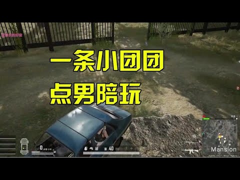 绝地求生：一条小团团点男陪玩，吃鸡翻车全纪录复盘详情