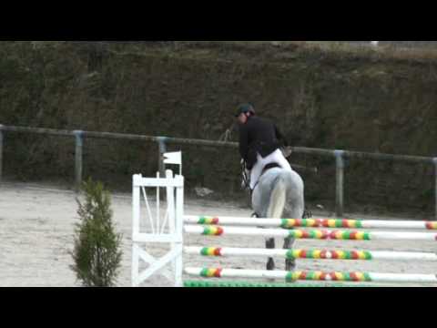 Charles de Gaulle- jumping stallion (BWP) by Clinton