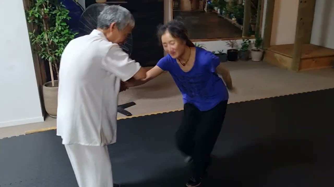 Hand block with downward spinning elbow strikes 防守加旋压肘