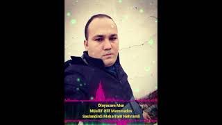 Meherrem Nehremli Oleceyem Men Şeir 2025 Gözel Şeir Qemli Şeirler #şeirlər