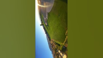 Around the Tree | FPV Flow #fpvfreestyle #freestylefpv #fpvlife #fpvpilot