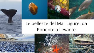 La bellezza del Mar Ligure: da Ponente a Levante