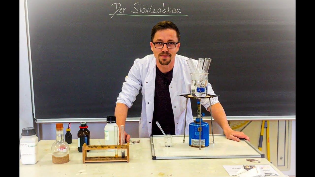 Der Stärkeabbau - Hydrolyse eines Polysaccharids