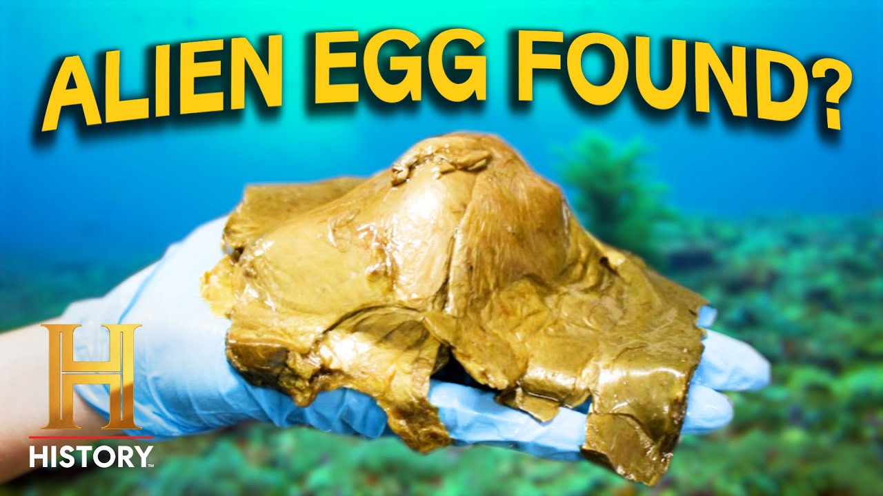 Documentary backdrop image for Mysterious Alien Egg Found in Alaska (Season 5) (2025)