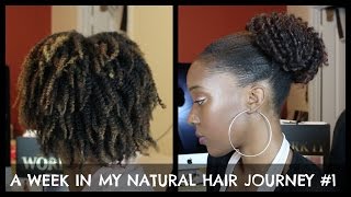 EP1| A Week In My Natural Hair Journey (4c Hair) - Single Strand Knots