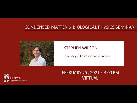 "“Quantum Disorder and Unconventional Magnetism in ARO 2 Compounds” Stephen Wilson (UCSB)