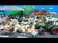 New Animals Come To The Farm With Tractor | Farm Diorama | Learn Animals 트랙터 동물 농장