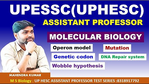 #UPHESC ASSISTANT PROFESSOR#MOLECULAR BIOLOGY#ZOOLOGY#BOTANY# OPERON MODEL#GENETIC CODON#WOBBLE HYPO