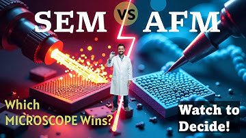 SEM Vs AFM: The Ultimate One For Nanotechnology